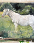 Pony in Pasture