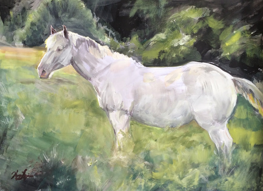 Pony in Pasture