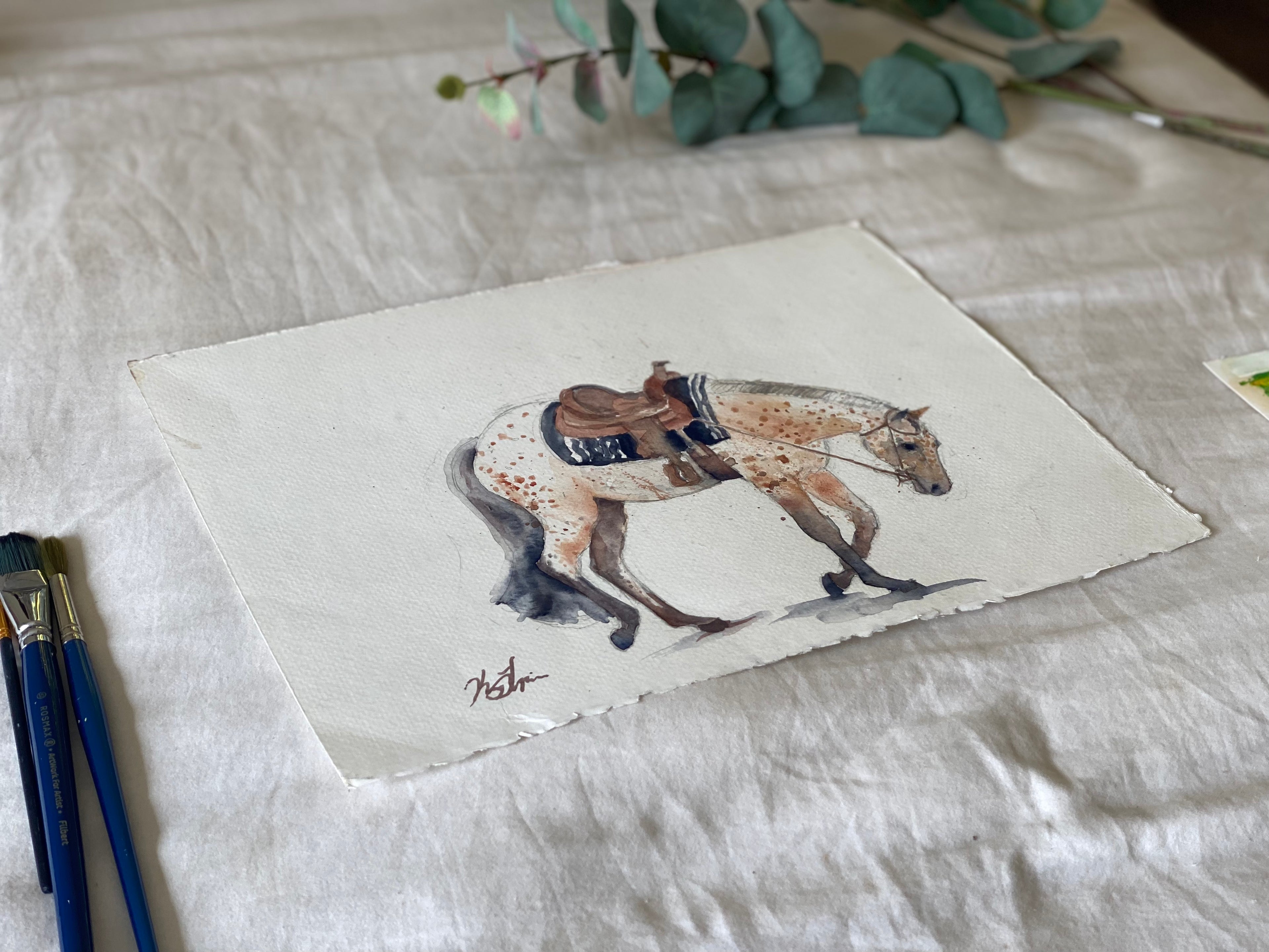 Western Pleasure Pony