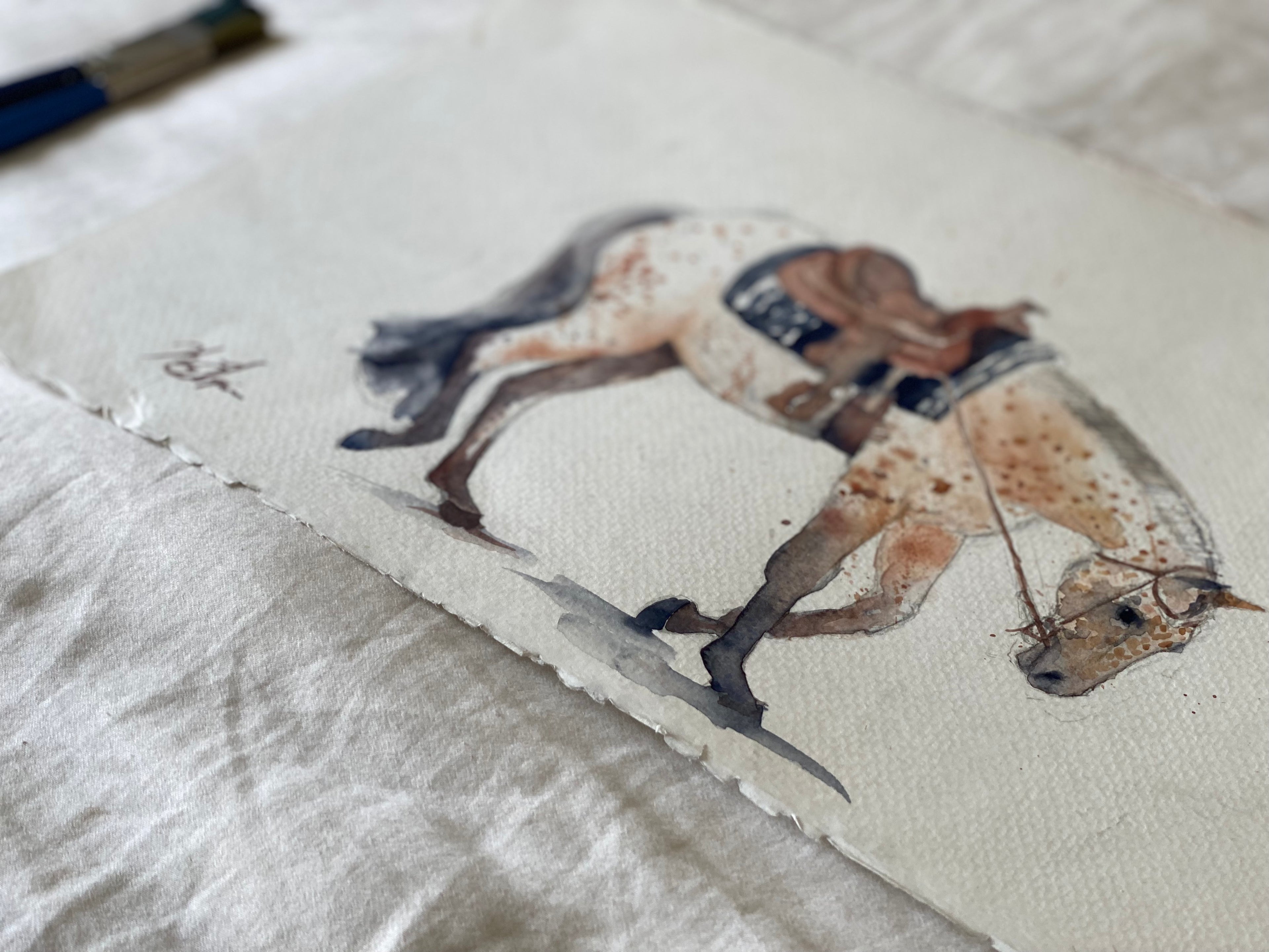 Western Pleasure Pony