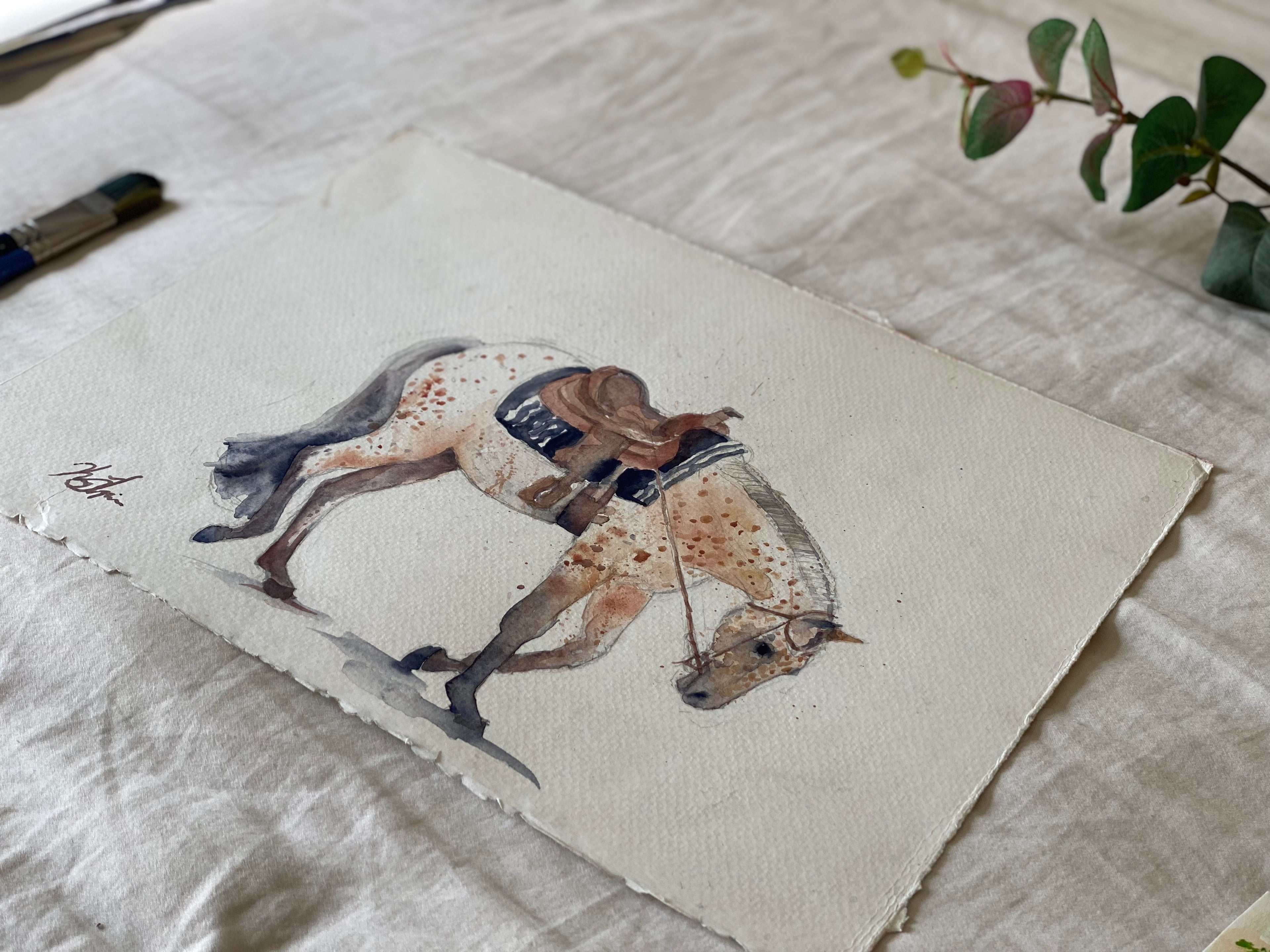 Western Pleasure Pony