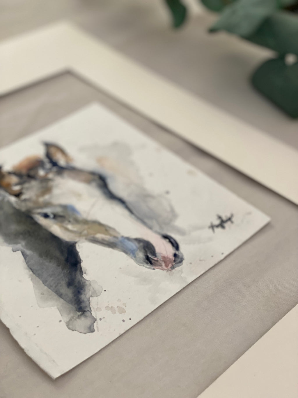 Gray Foal Portrait