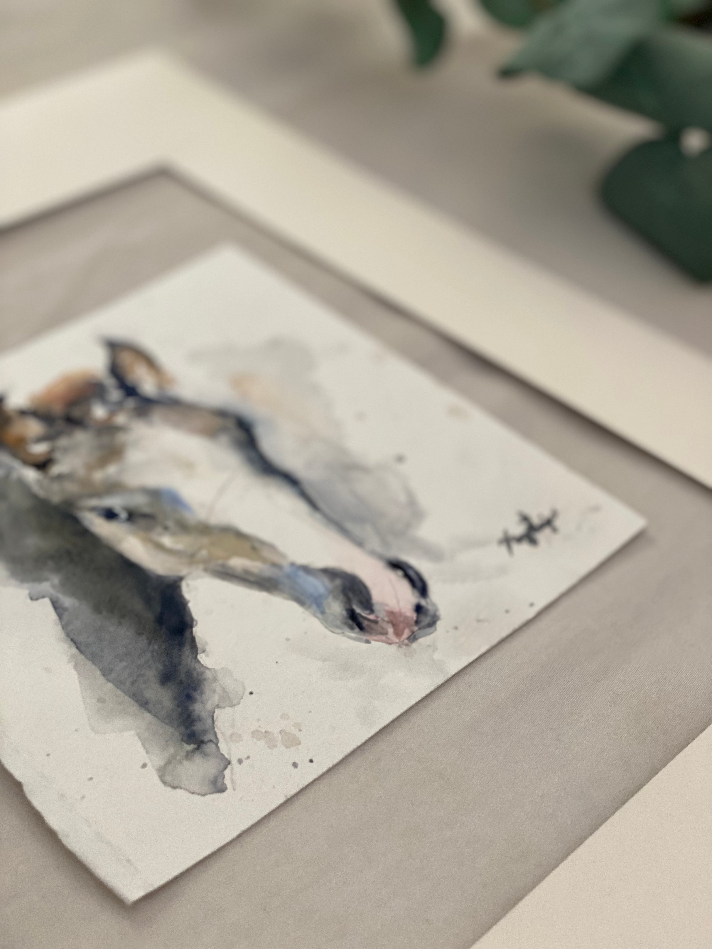 Gray Foal Portrait