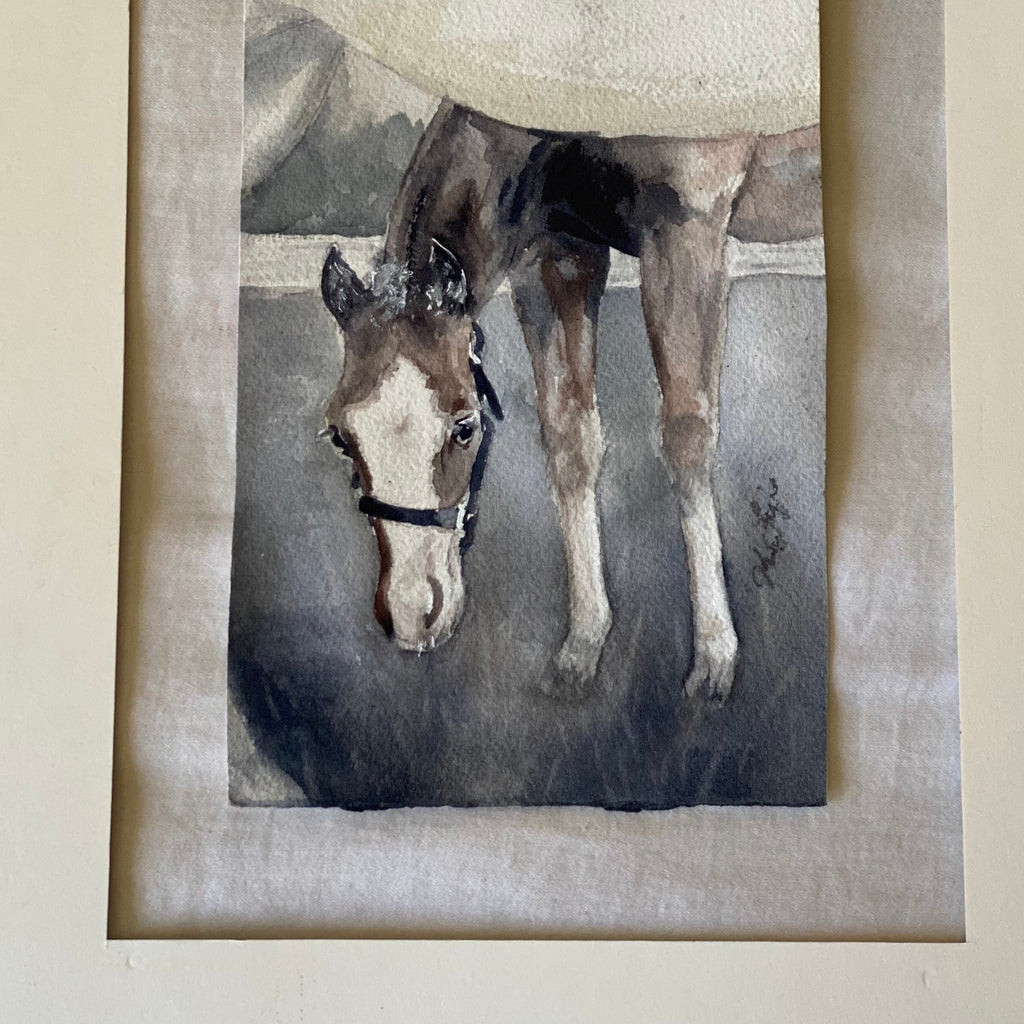 Gray Foal Under Mama