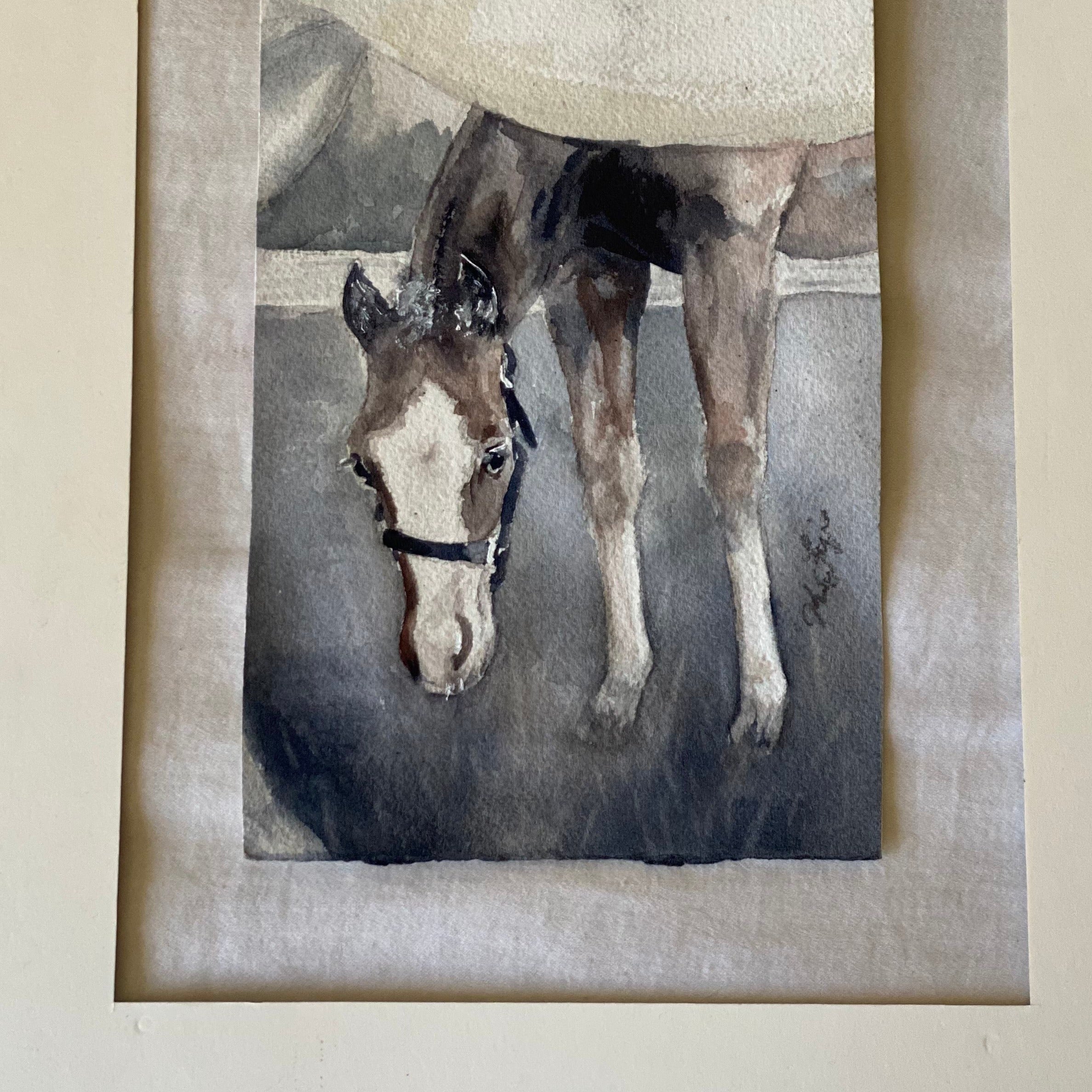 Gray Foal Under Mama