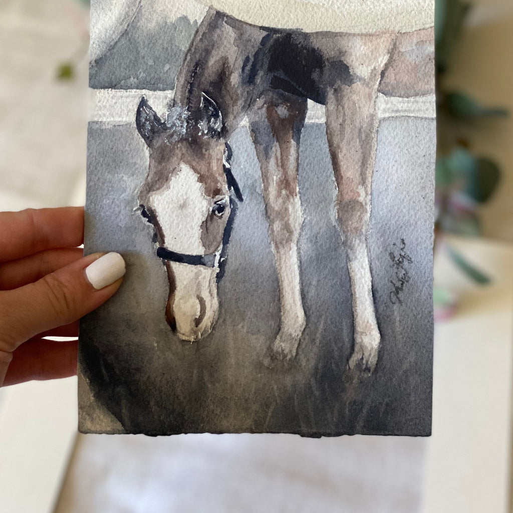 Gray Foal Under Mama