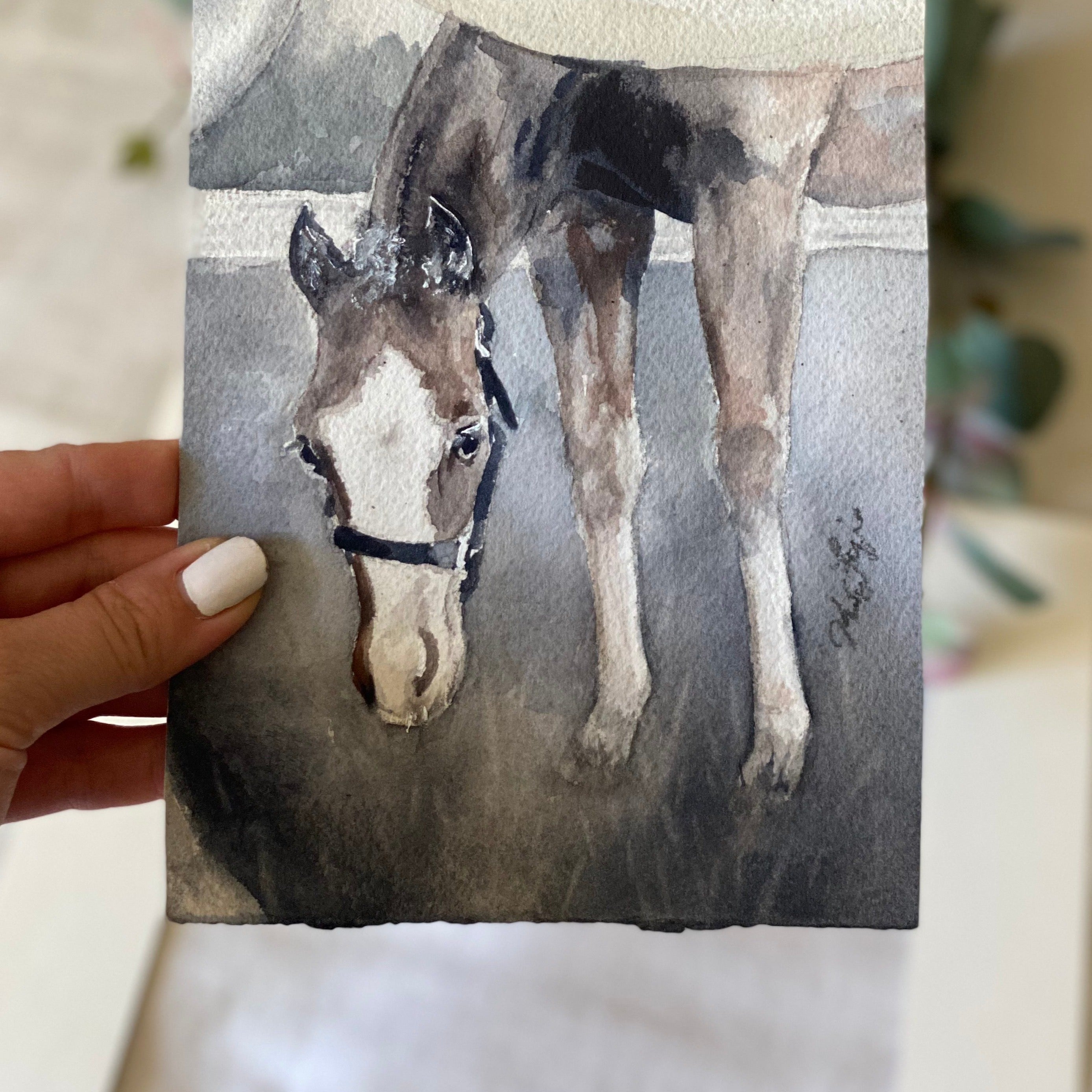 Gray Foal Under Mama