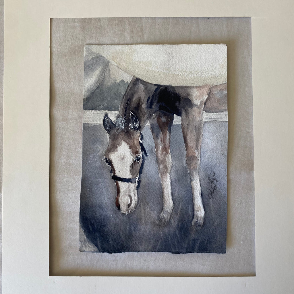 Gray Foal Under Mama