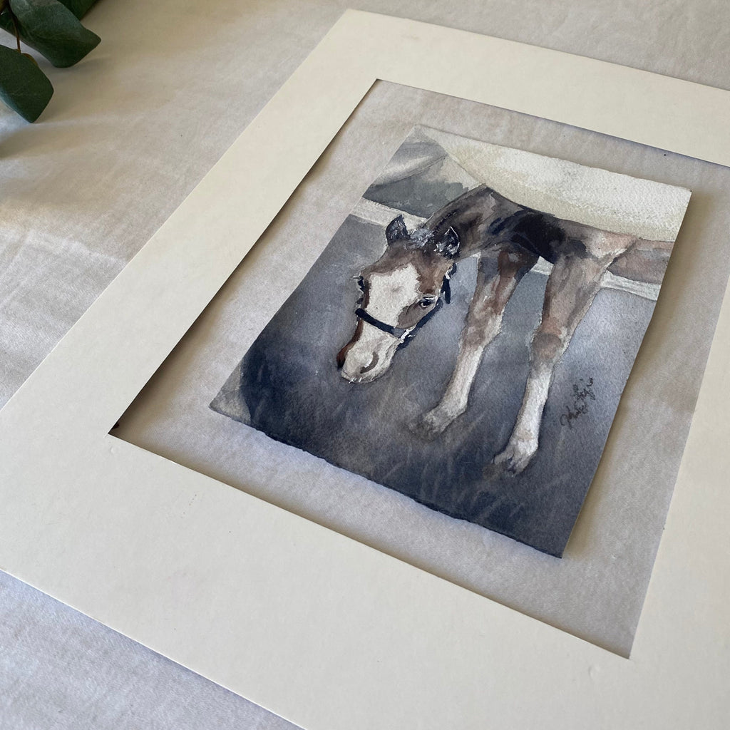 Gray Foal Under Mama