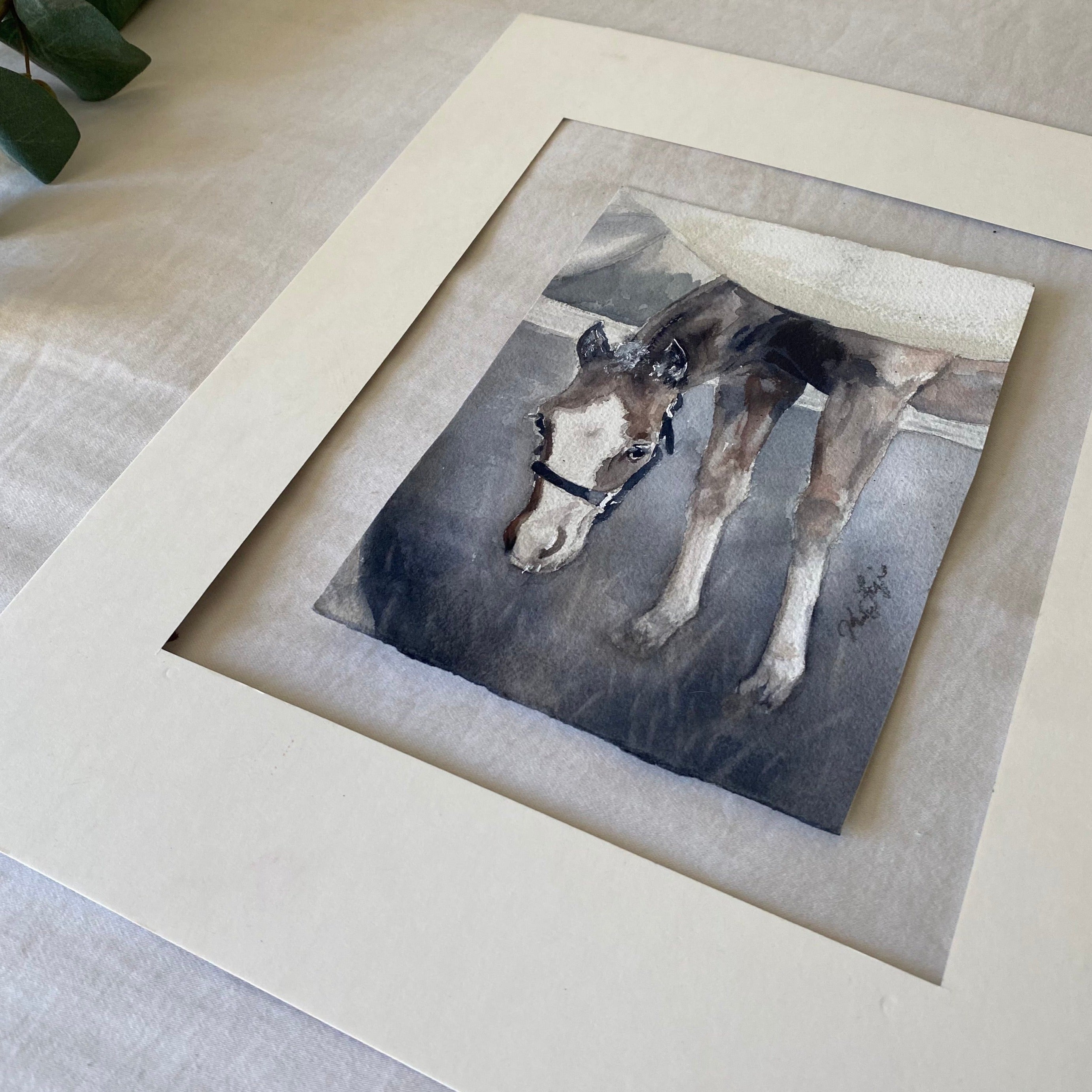 Gray Foal Under Mama