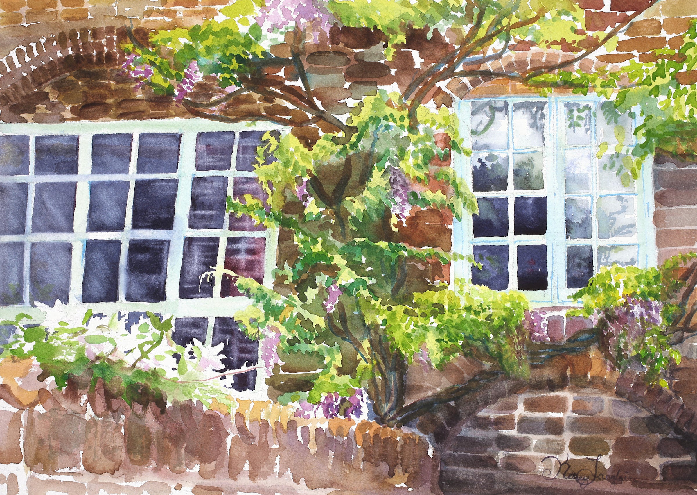 Wisteria Windows